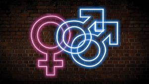 🏳️🌈🌞AQUEL VERANO EN LA COMUNIDAD BISEXUAL🌞🏳️🌈